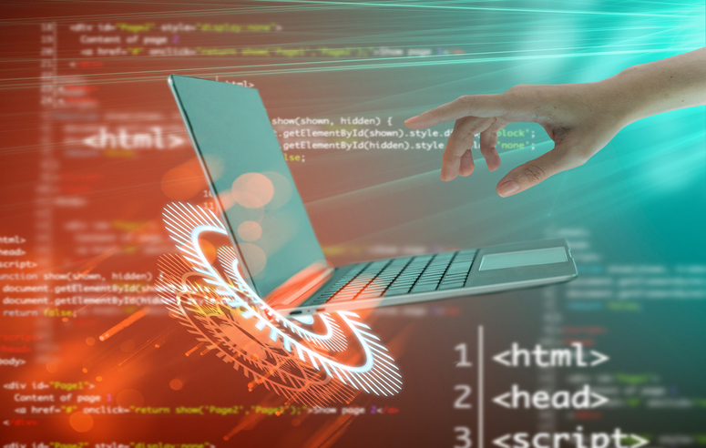 Custom Software Development Partner